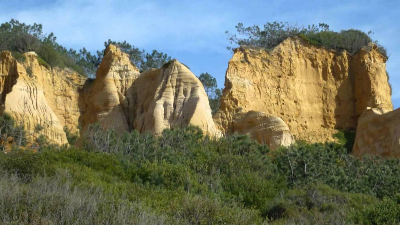 Aroeira Pine Tree Gardens Surf & Golf Villa Charneca de Caparica Exterior foto